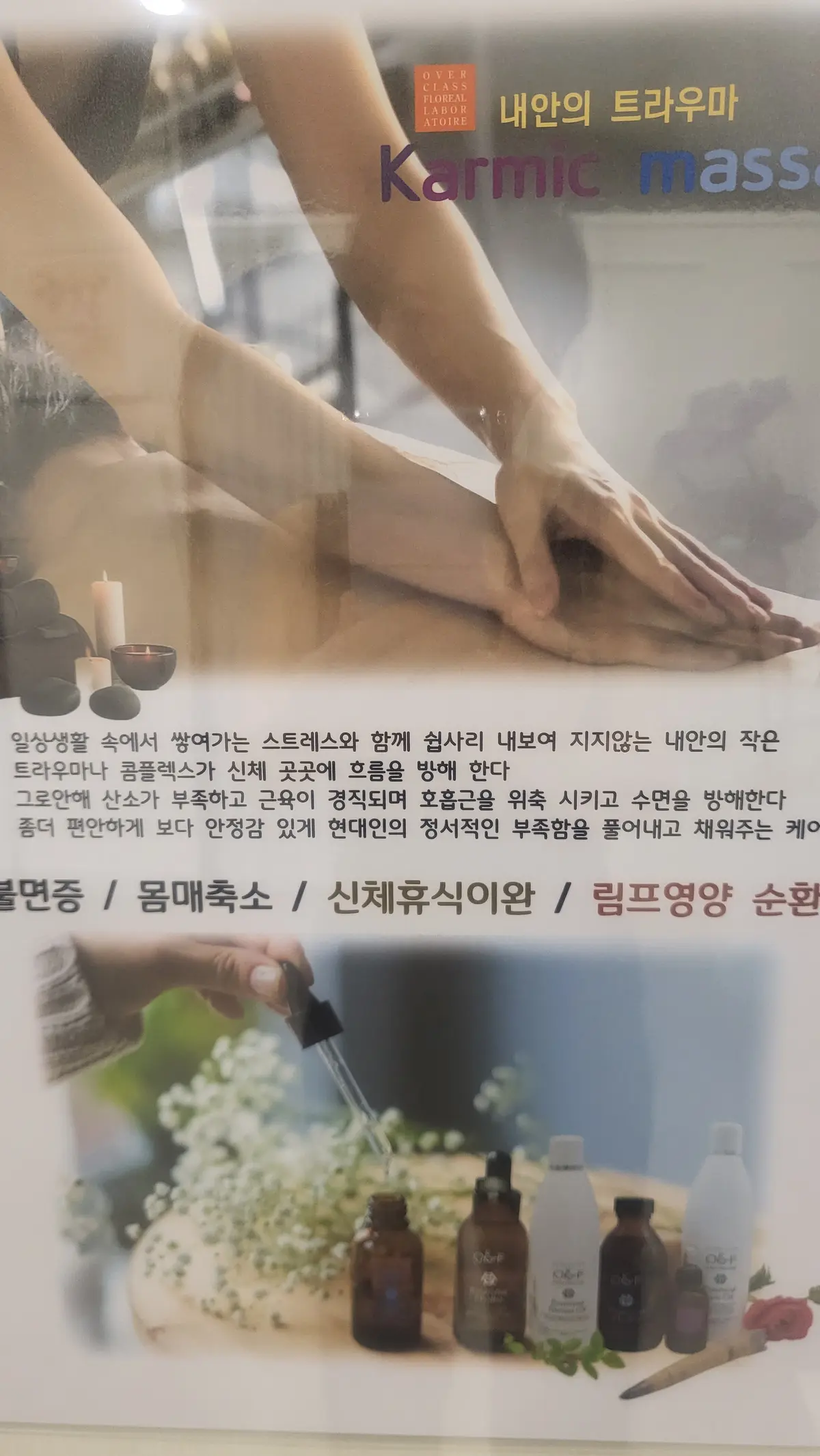 이미지 3