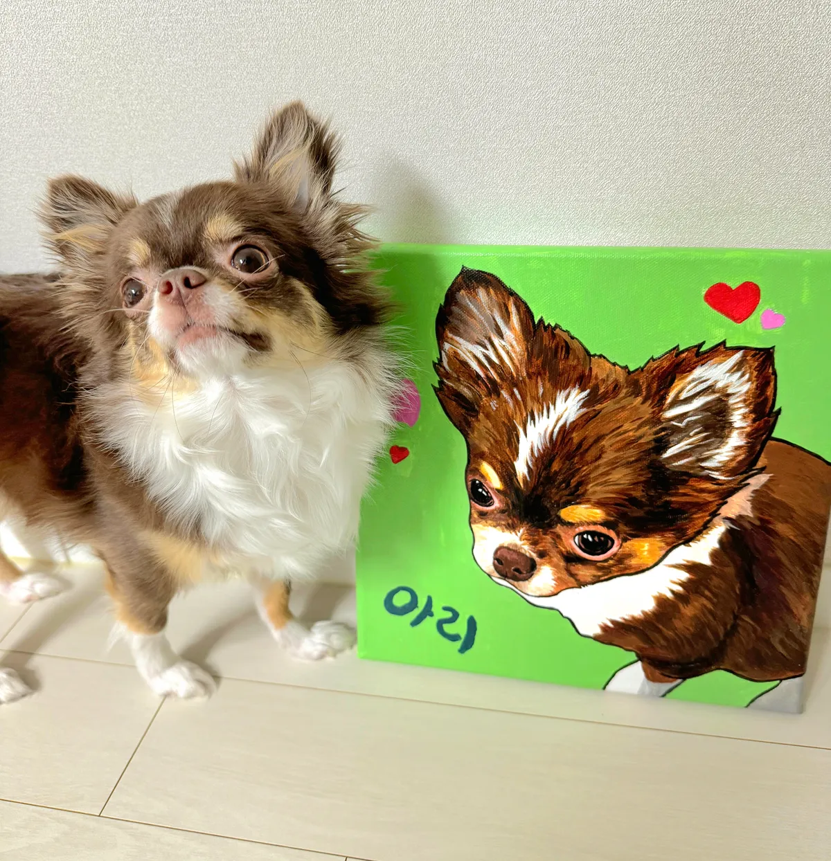 이미지 4