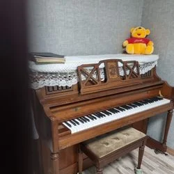 피아노이동