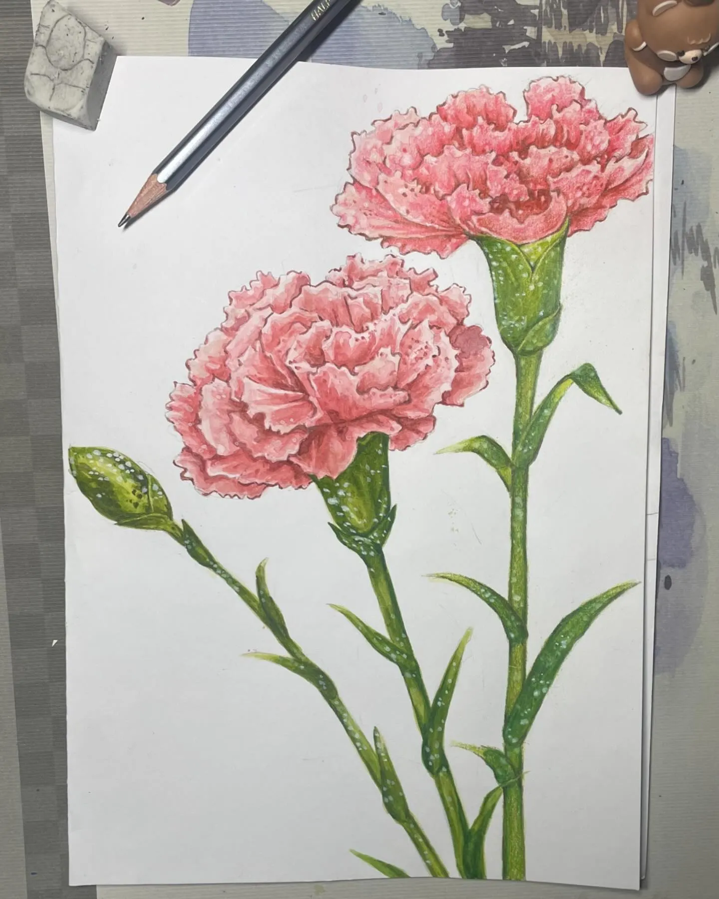 이미지 12