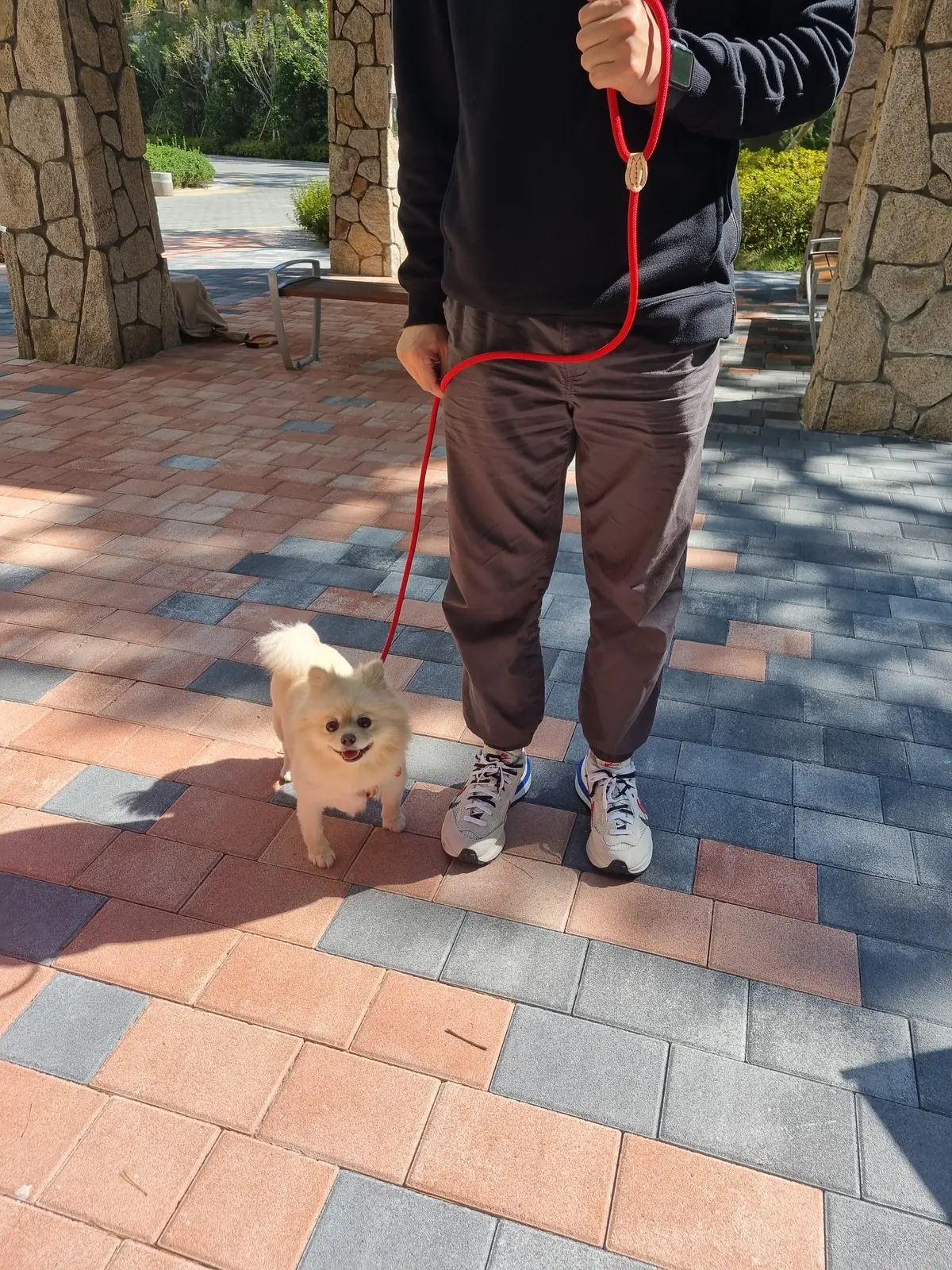 이미지 3