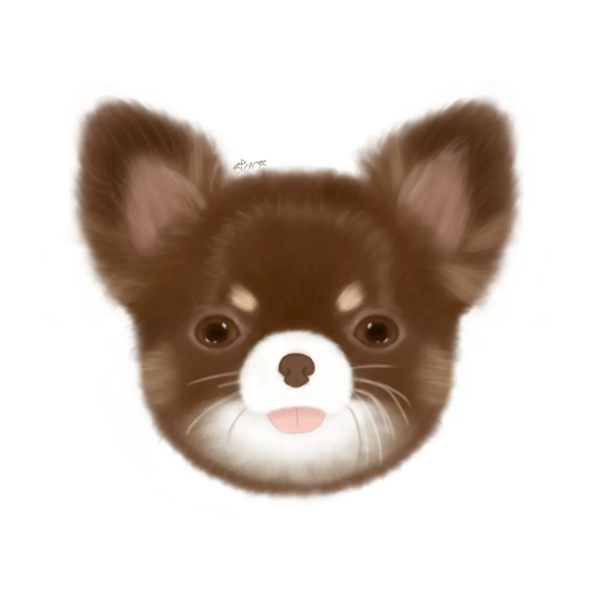 이미지 11