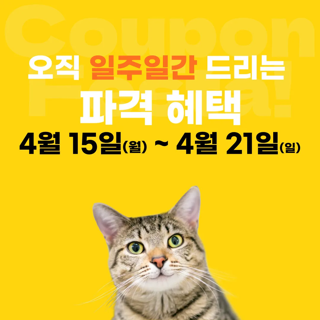 포트폴리오 대표 이미지