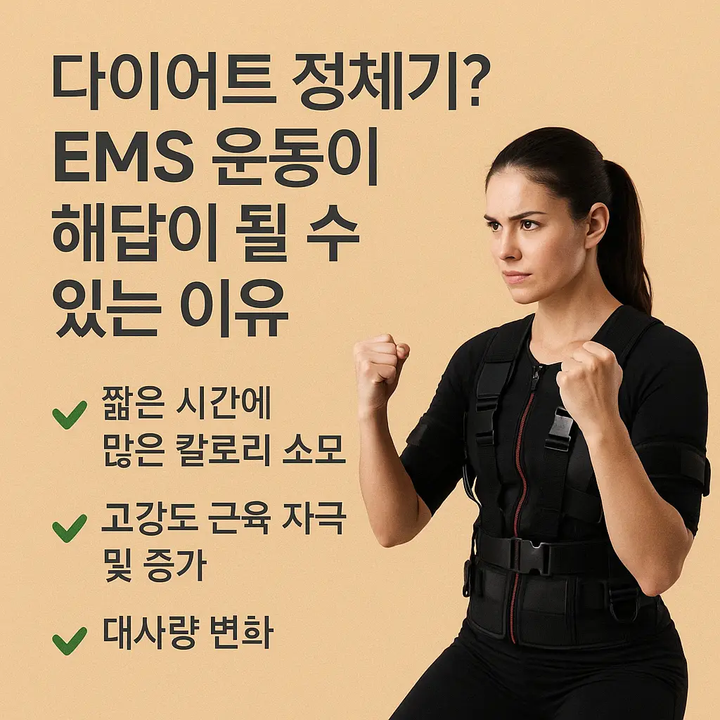 이미지 11