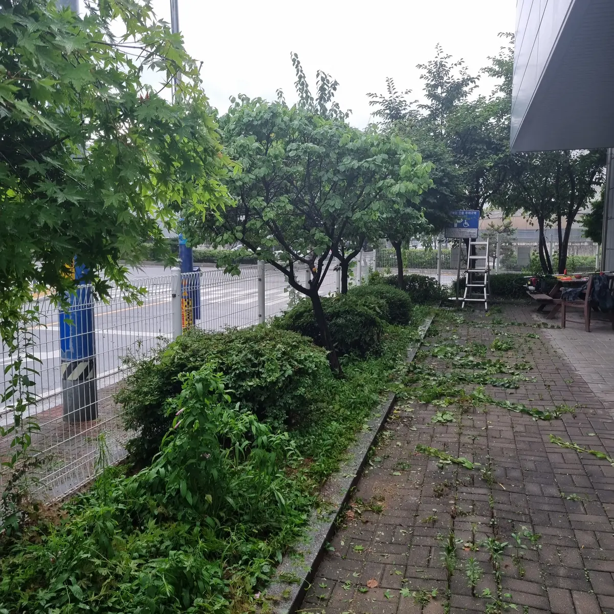 이미지 9
