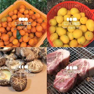 제주 농특산물 판매스토어 드리다제주 Branding