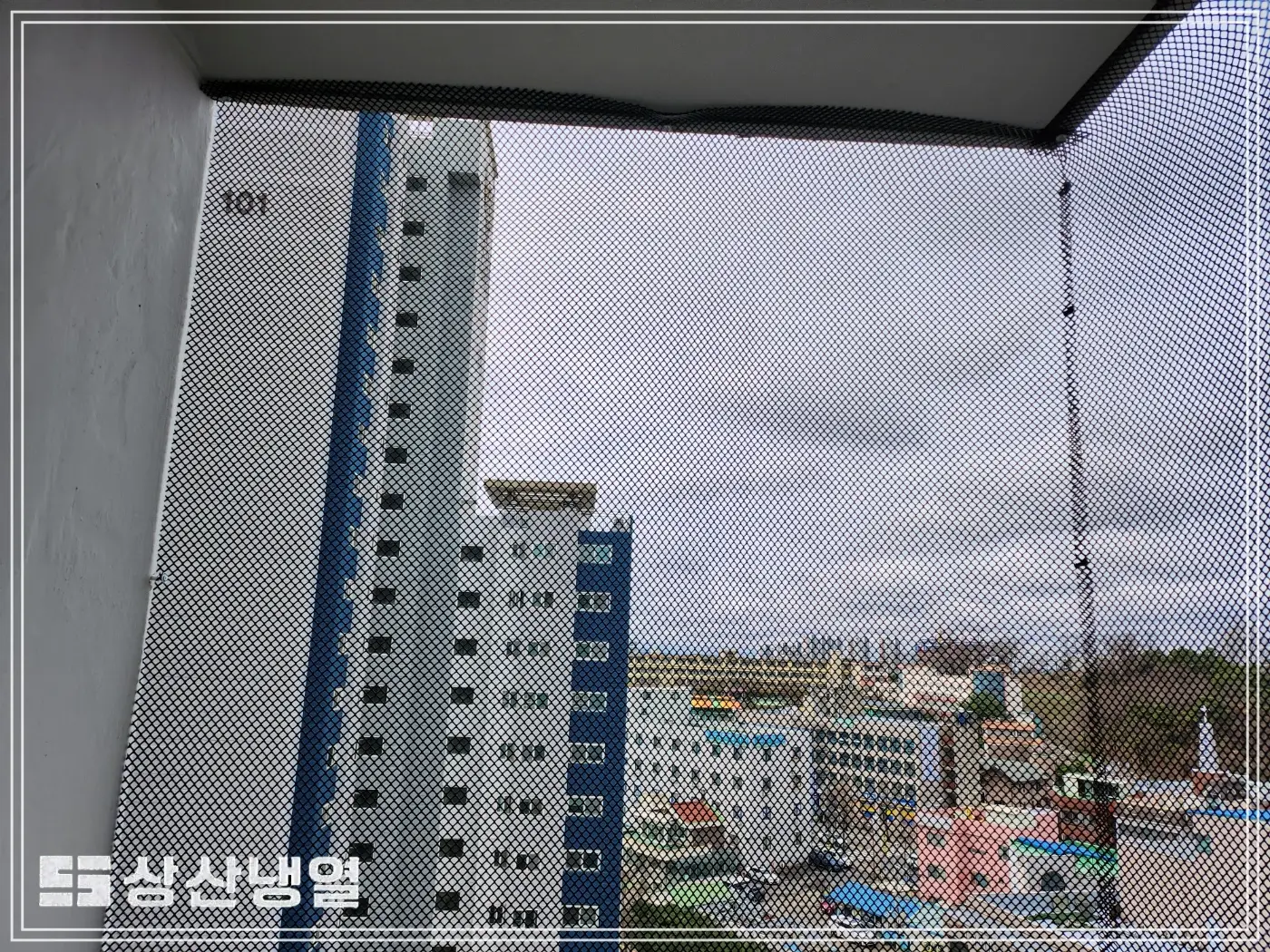 이미지 11