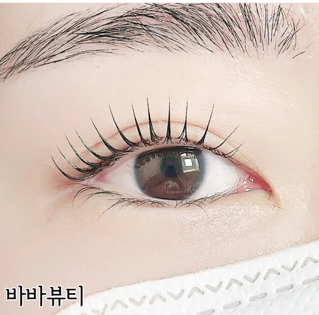 이미지 6