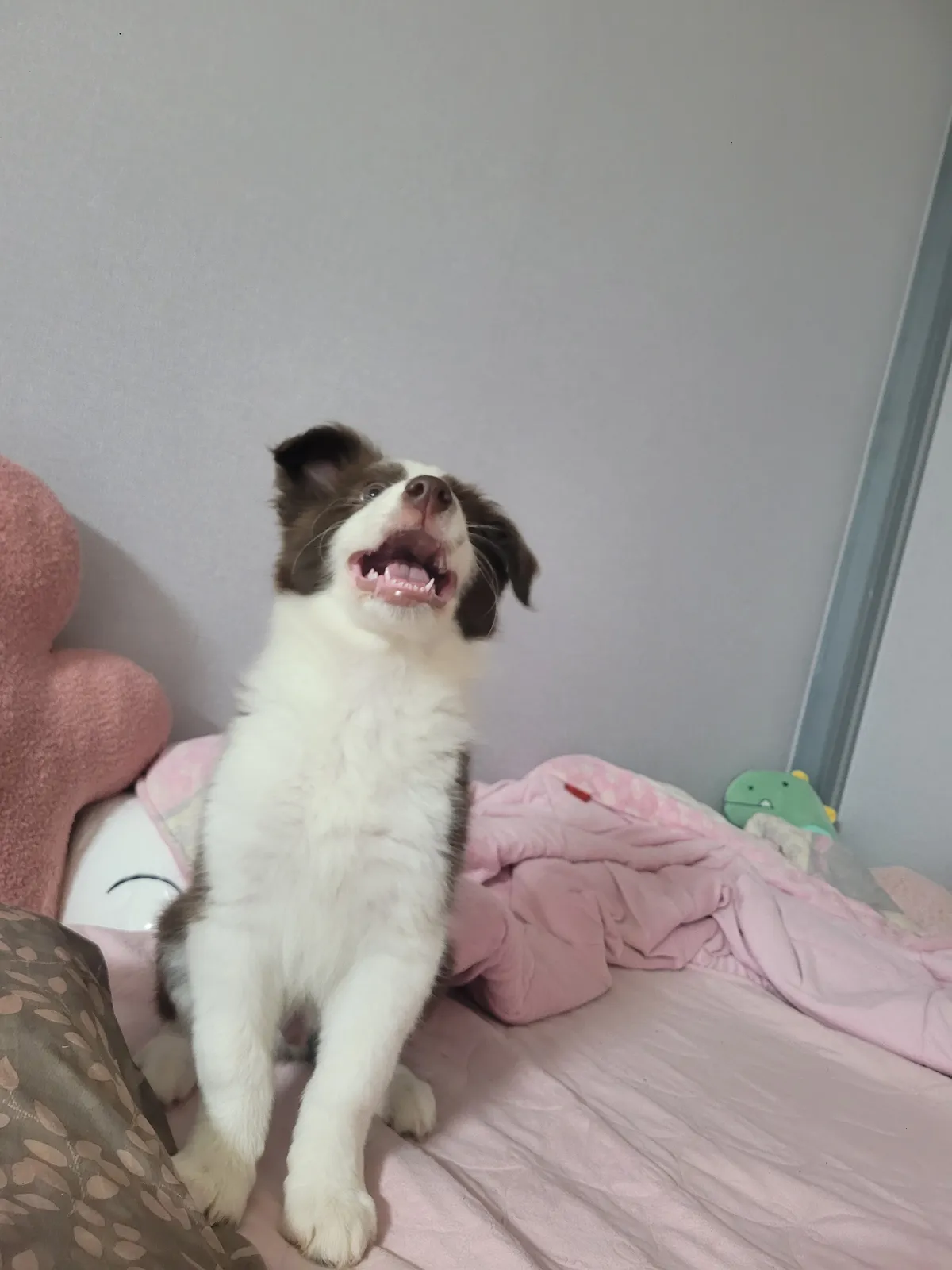 이미지 4