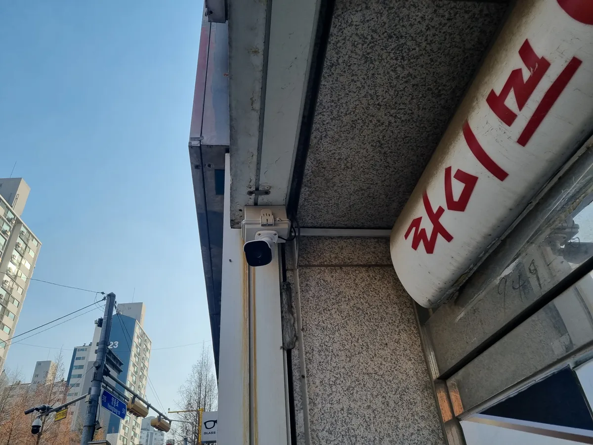 이미지 5