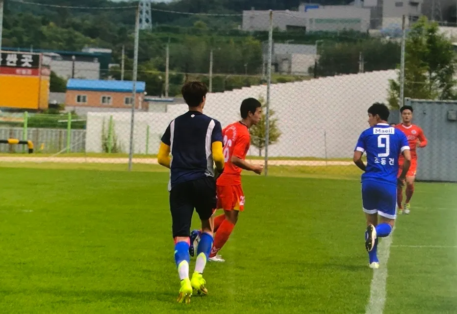 이미지 5