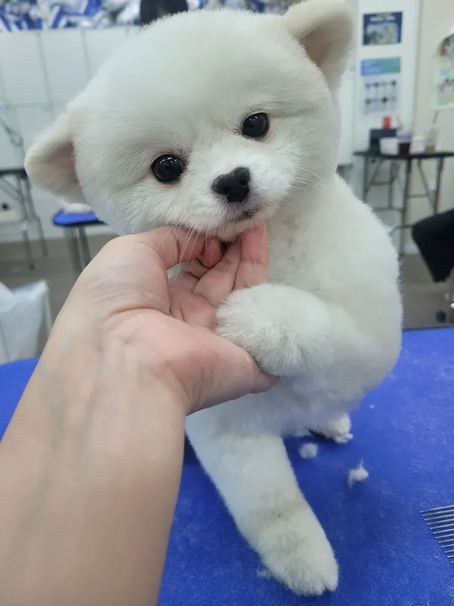 이미지 9