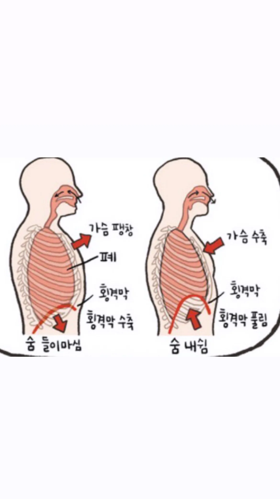 이미지 12