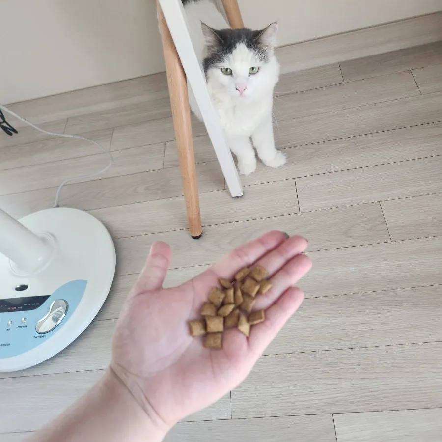 이미지 7