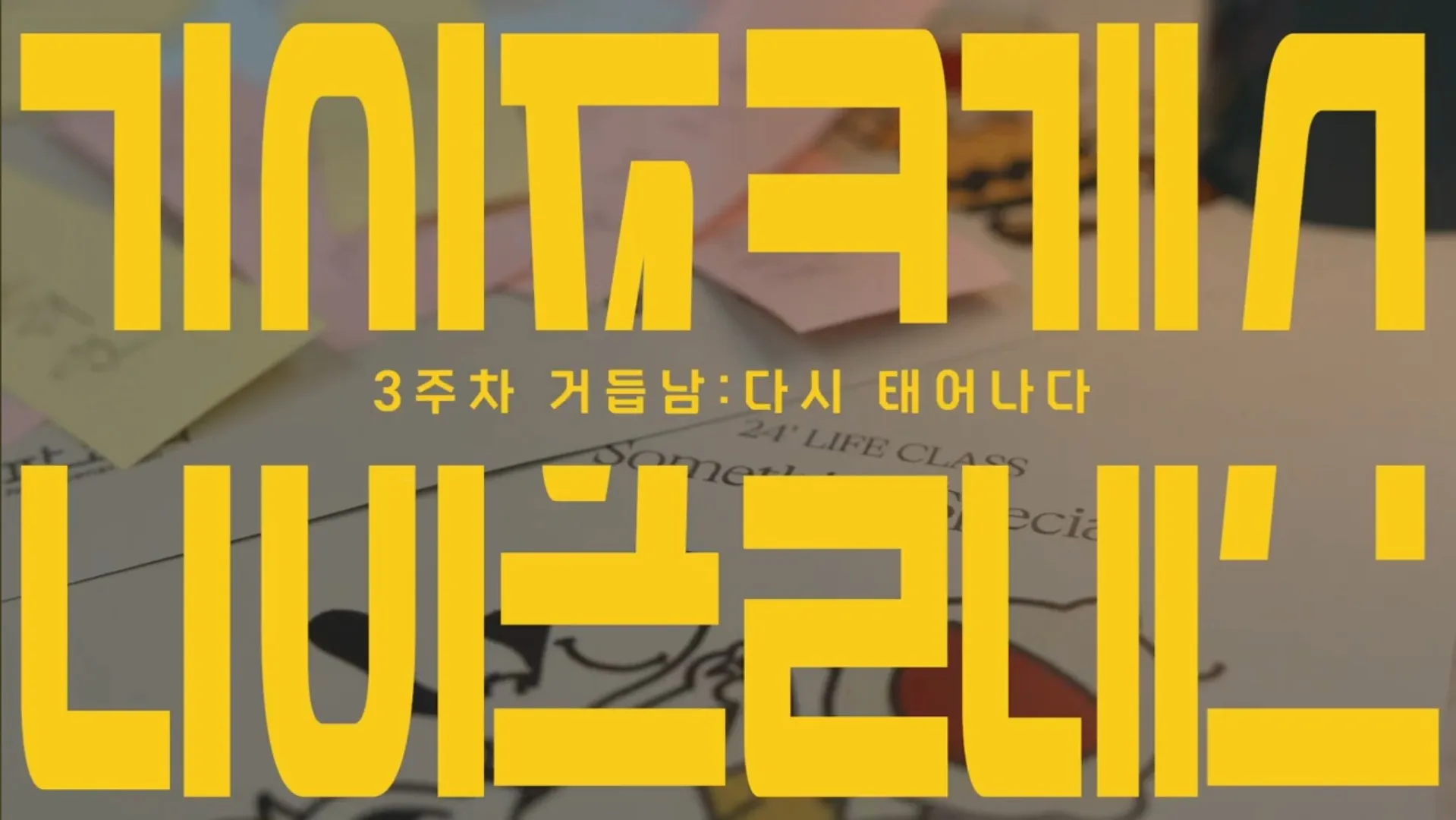 이미지 5