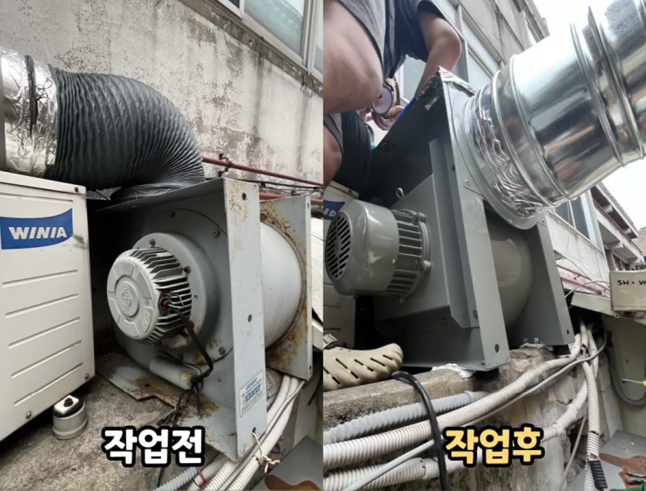 이미지 11