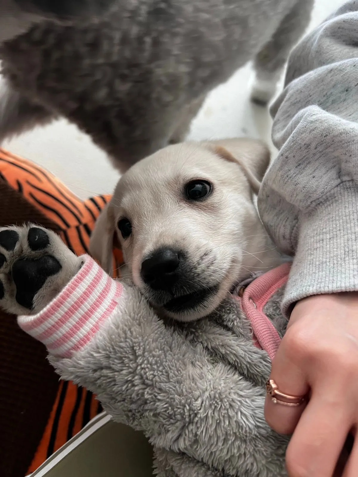 포트폴리오 이미지