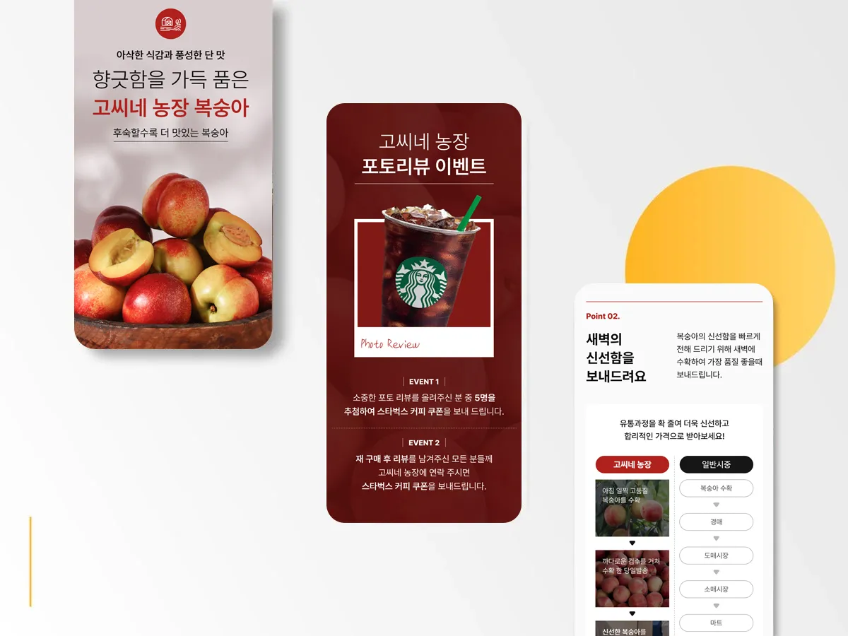 이미지 6