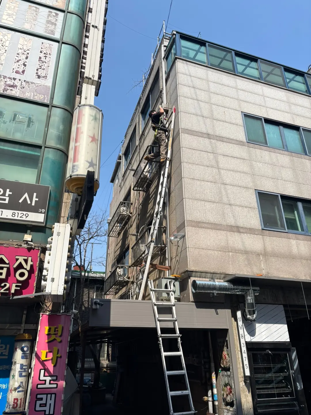 이미지 7