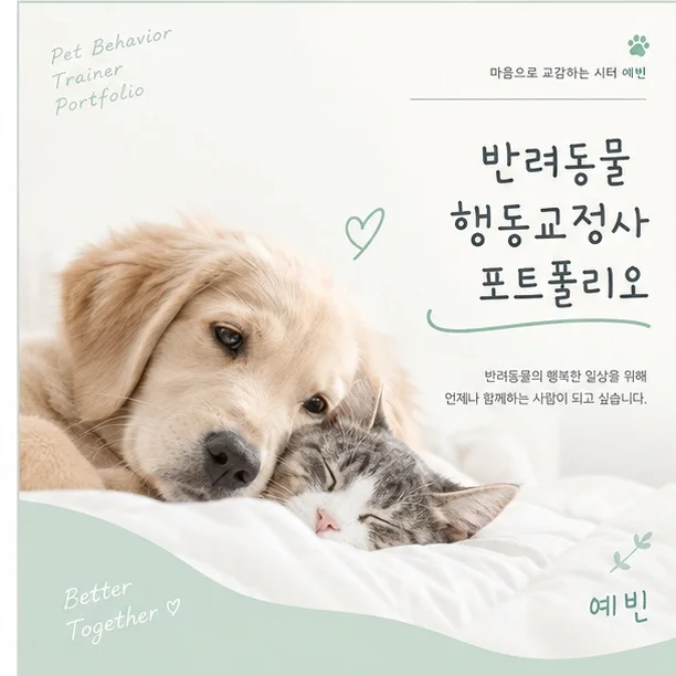 포트폴리오 이미지
