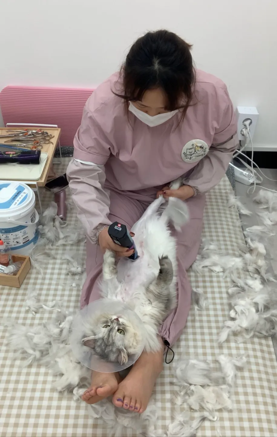 이미지 7