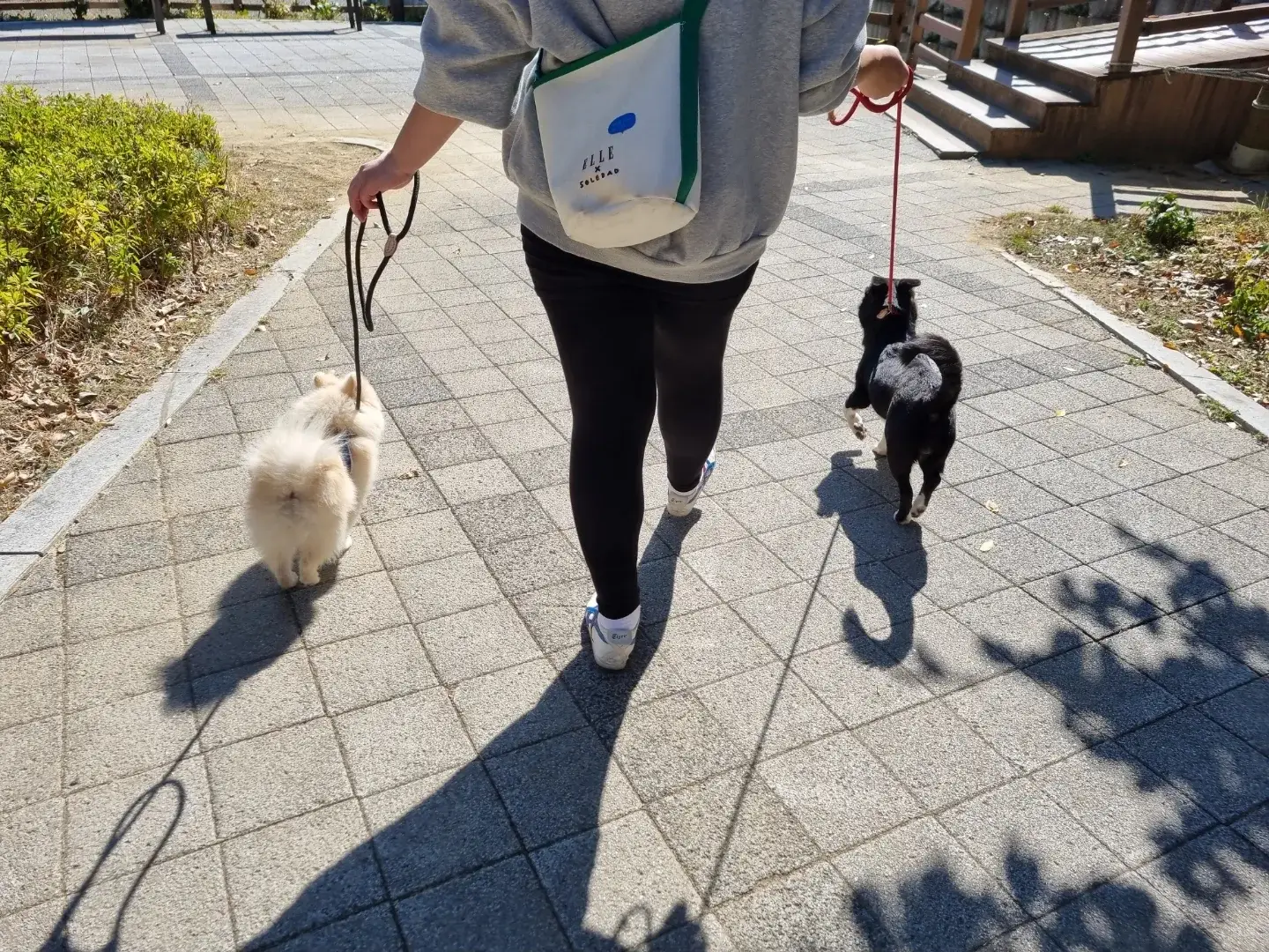 이미지 5