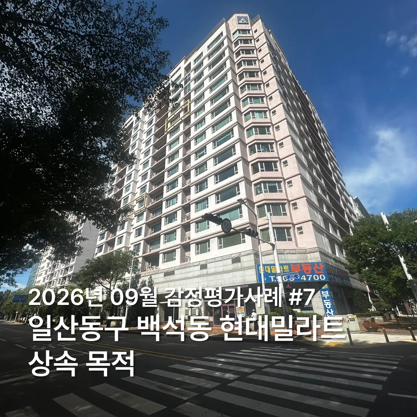 이미지 14