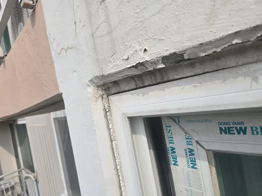 이미지 8