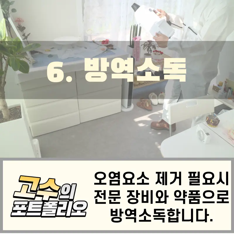 이미지 8