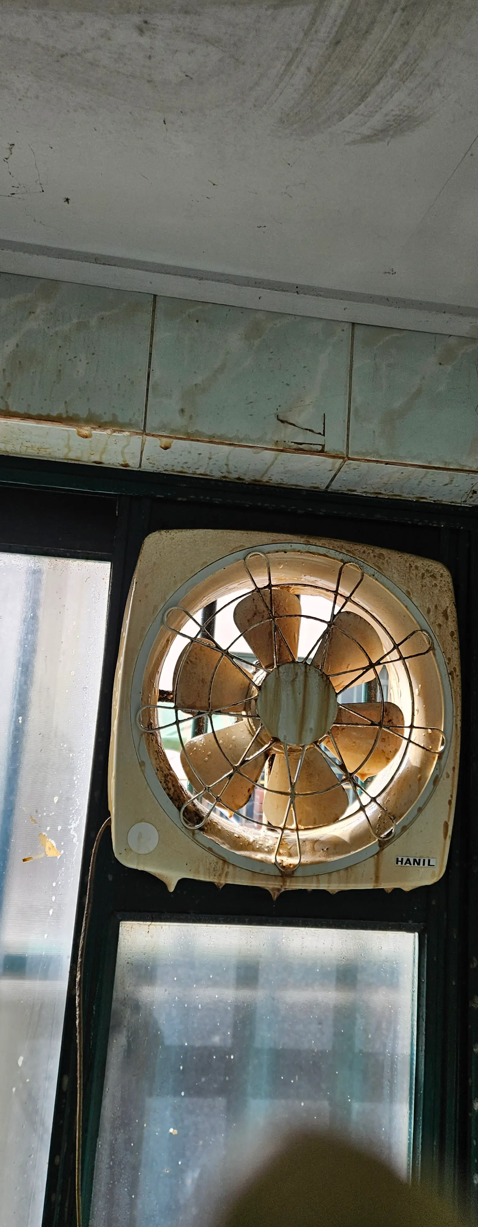 이미지 8