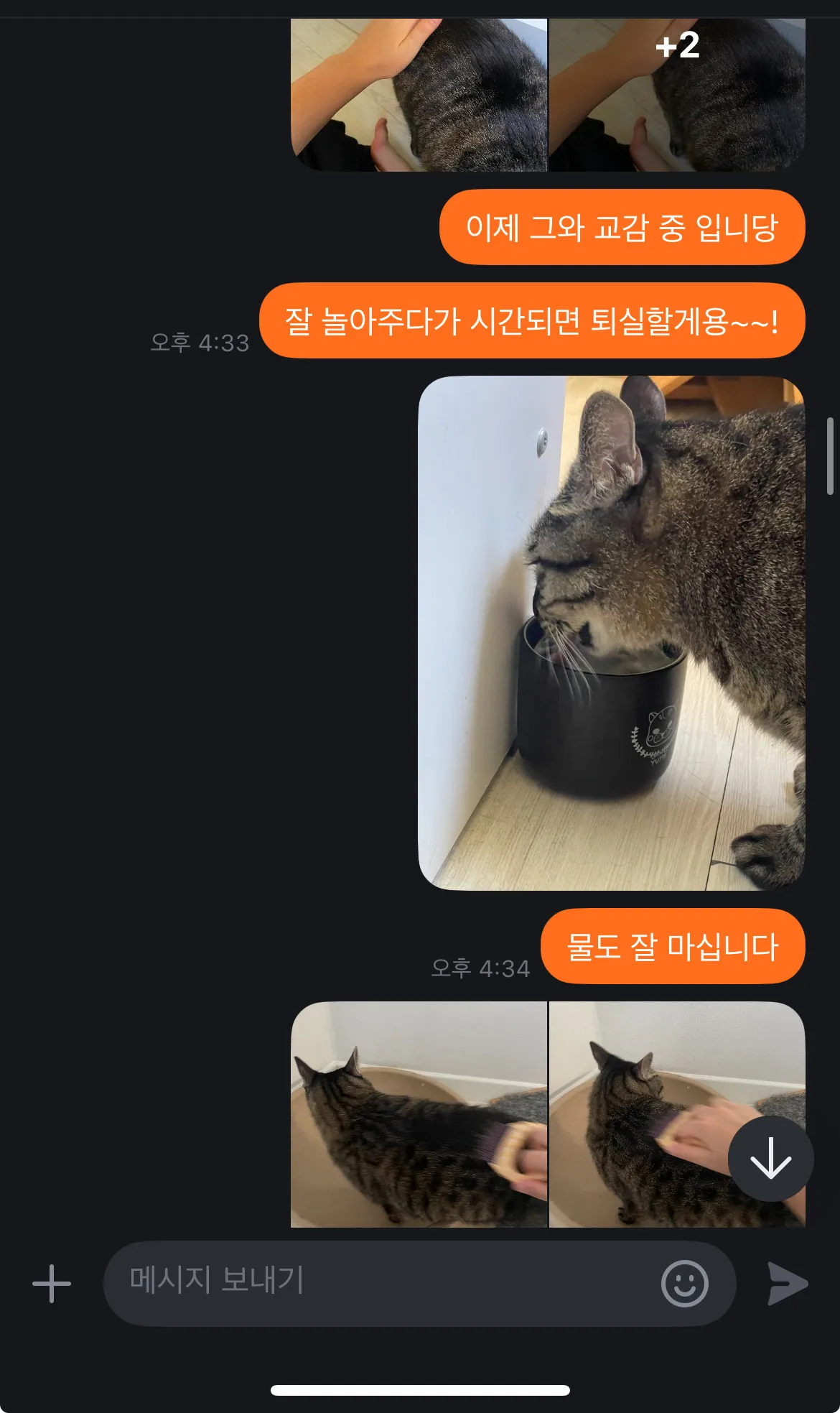 이미지 4
