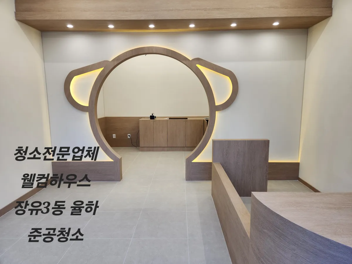 이미지 11