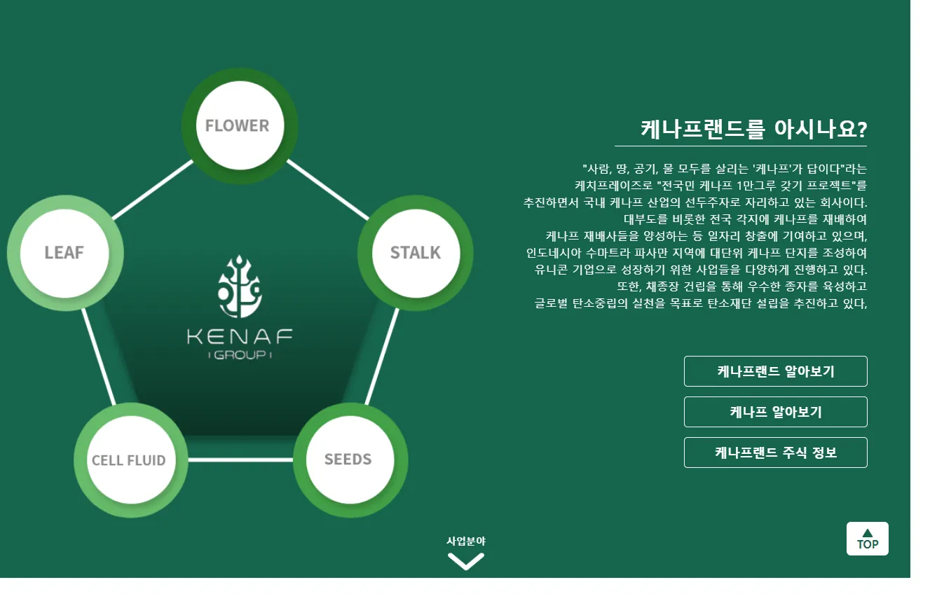 케나프랜드 영세>중소 비지니스 컨설팅 / PMO - 숨고, 숨은고수 케나프랜드 영세>중소 비지니스 컨설팅