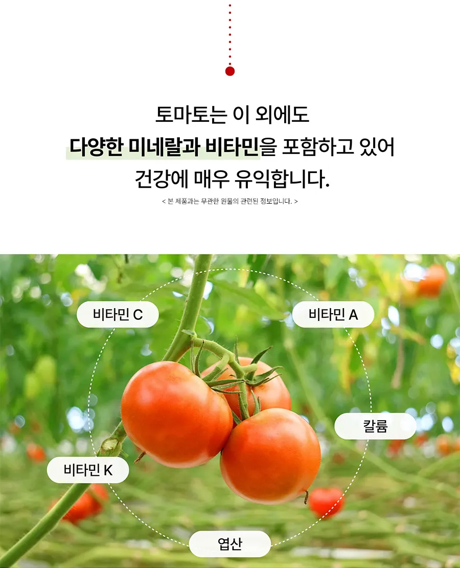이미지 4
