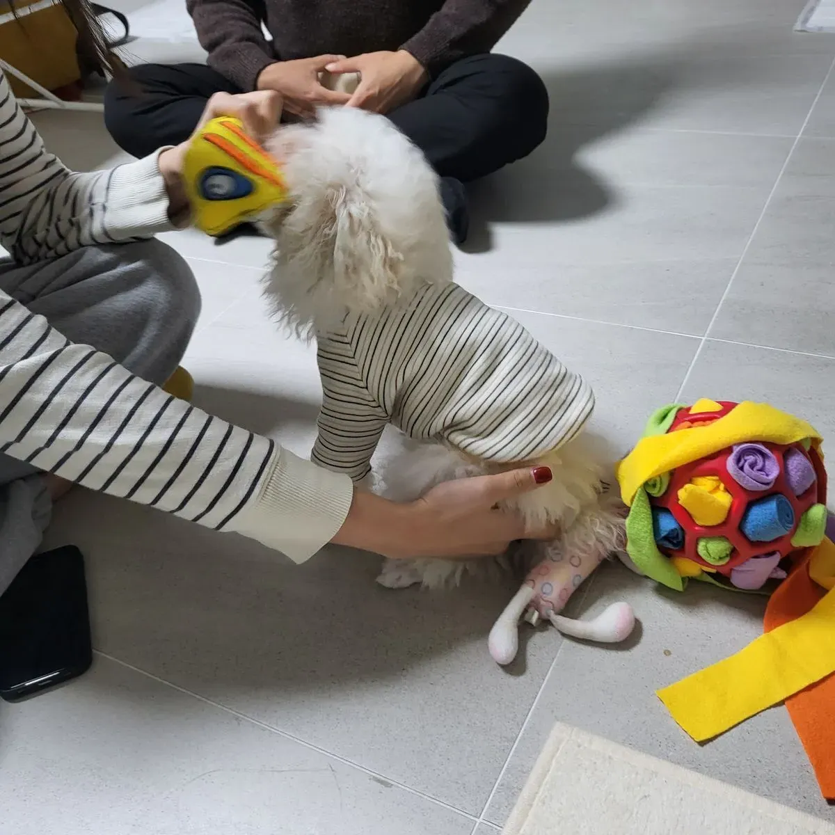 포트폴리오 이미지