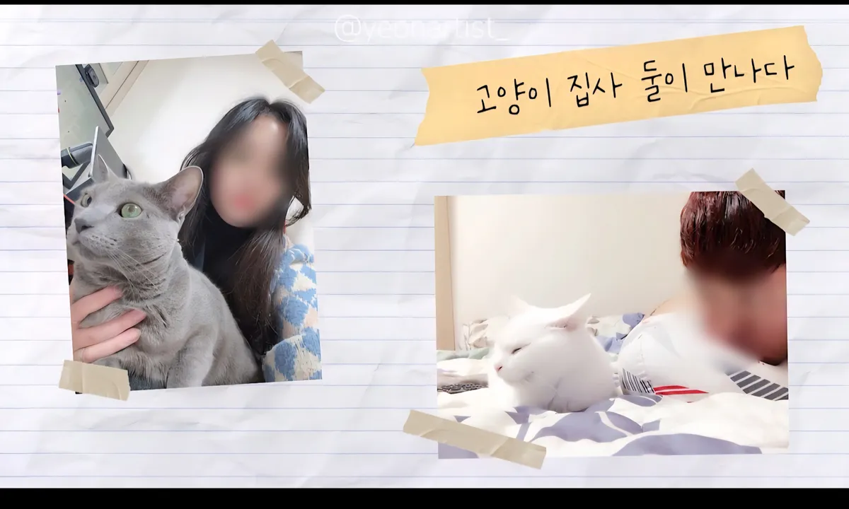이미지 20