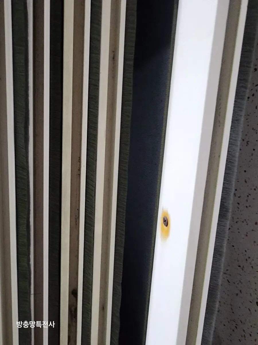 이미지 22