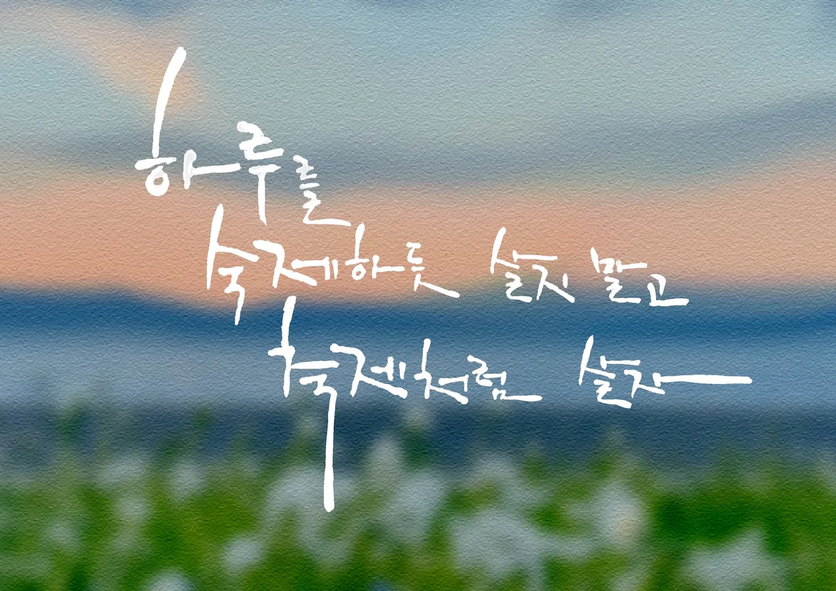 포트폴리오 이미지