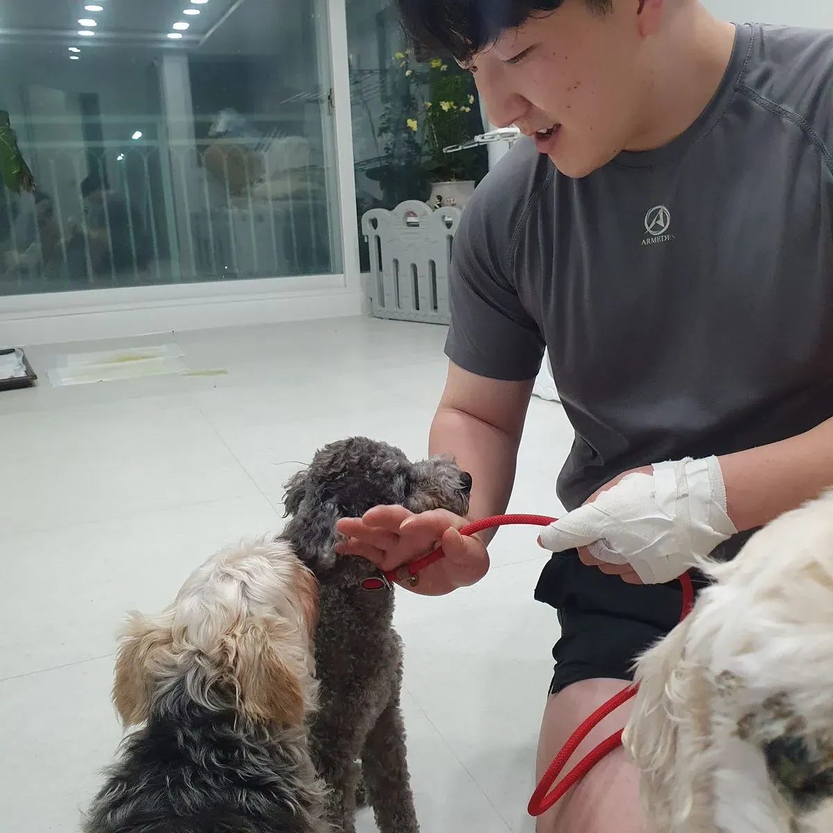 이미지 3