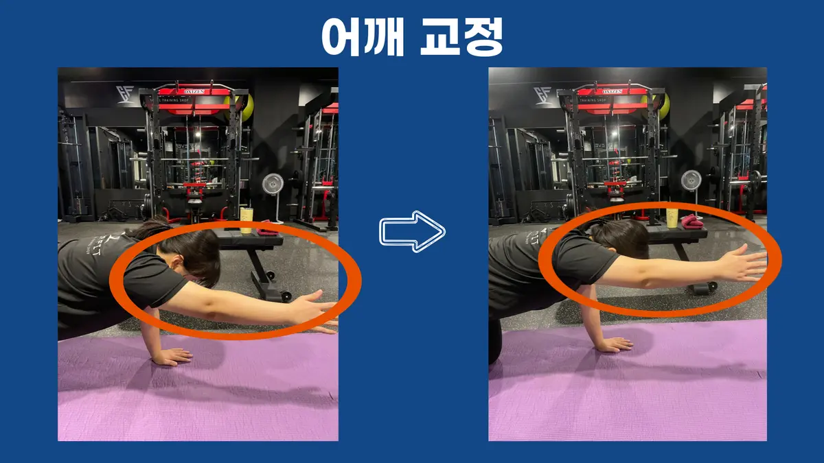 이미지 6