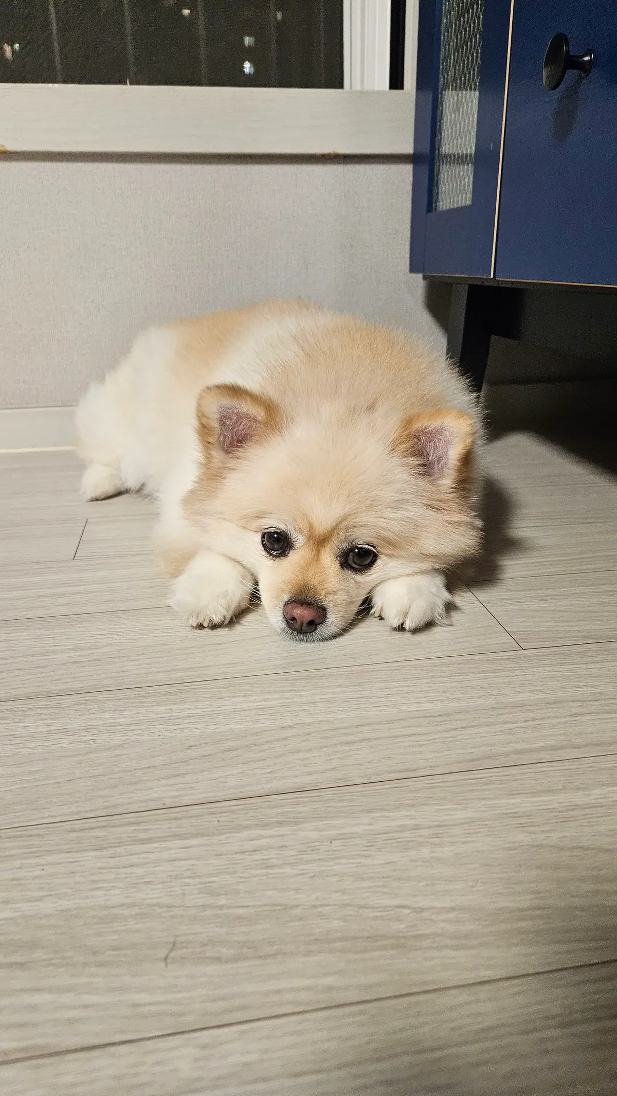 이미지 6