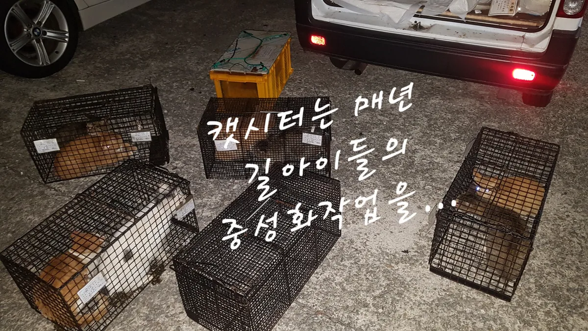 이미지 5