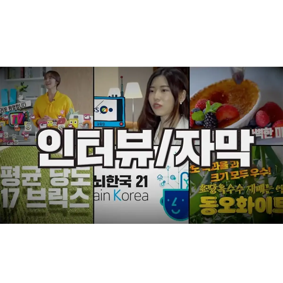 포트폴리오 이미지