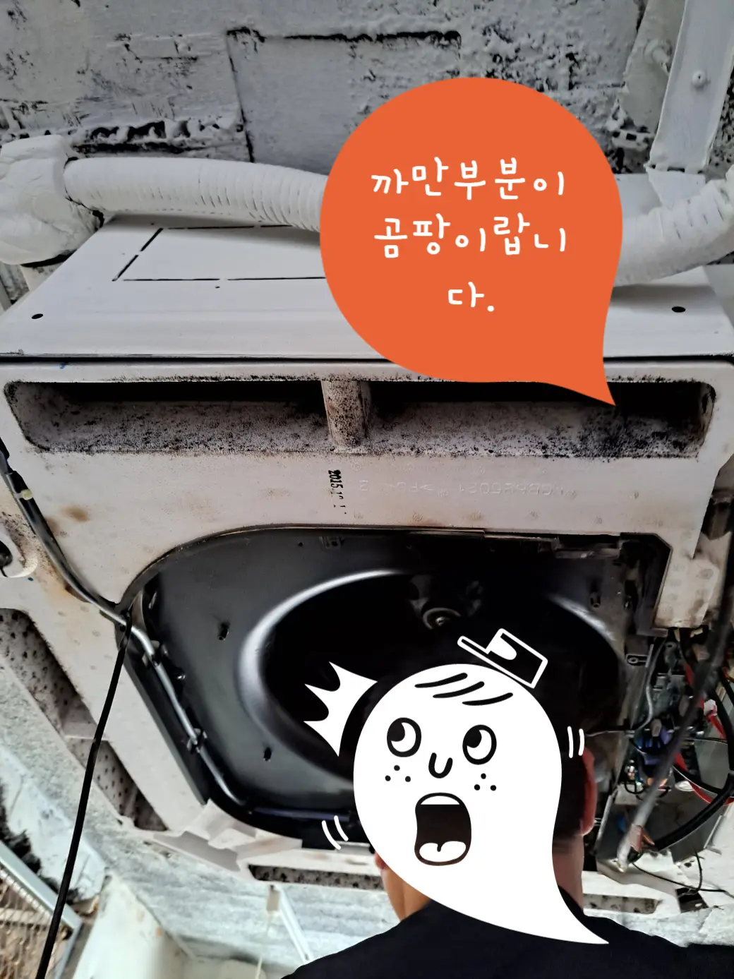 이미지 4