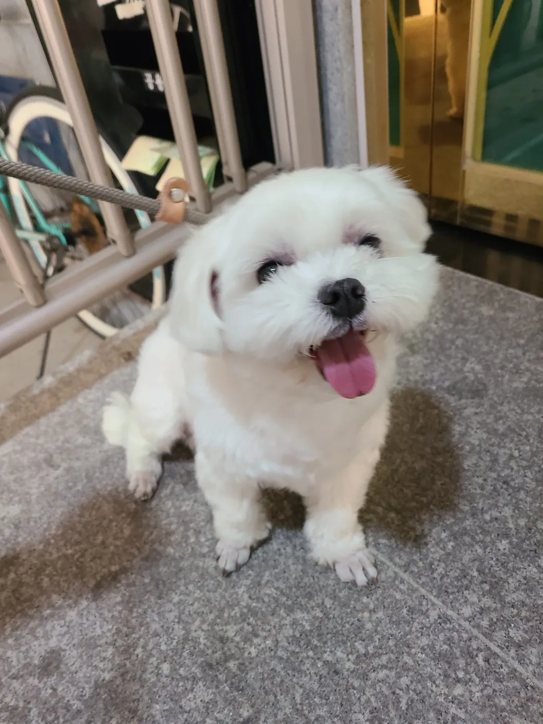 이미지 5