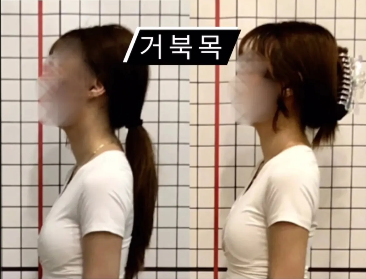 이미지 3