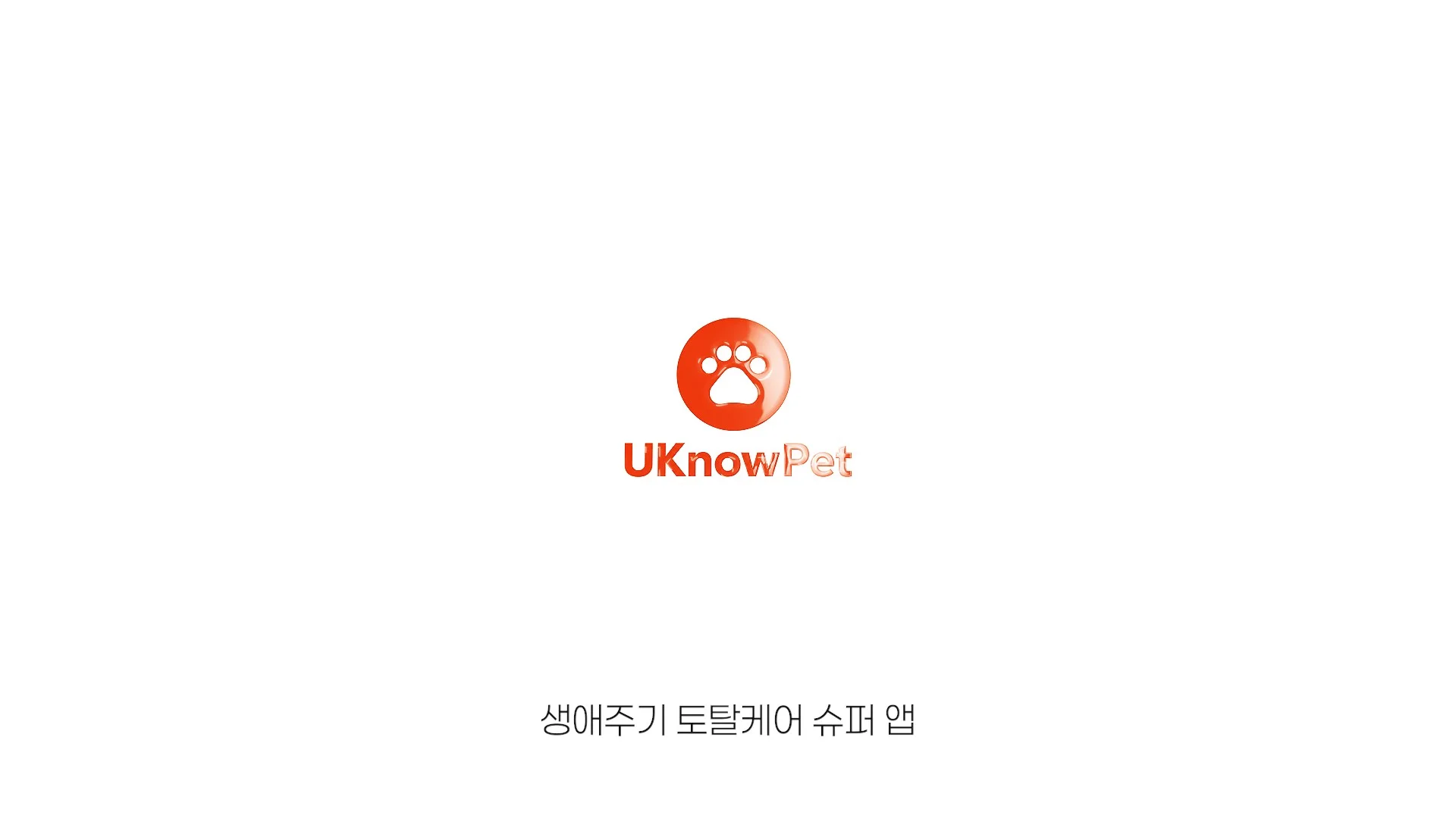 이미지 21