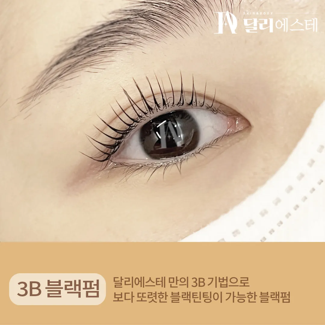 이미지 5