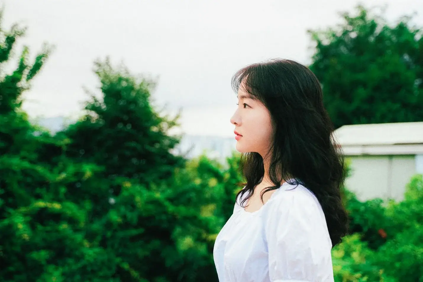이미지 8