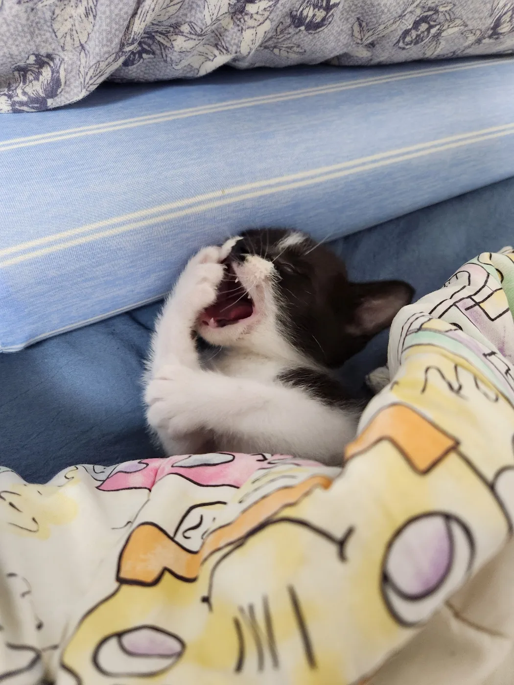 이미지 5
